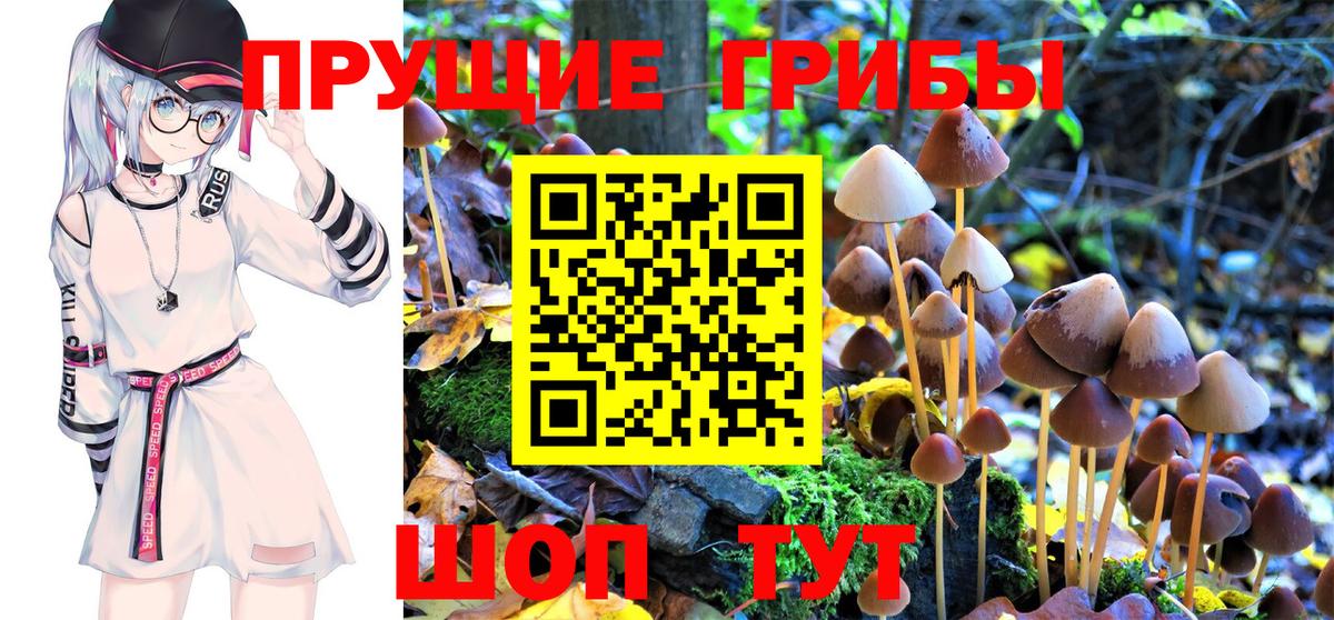 Верхняя Пышма  Галлюциногенные грибы GOLDEN TEACHER  Галлюциногенные грибы Psilocybe  Вход с VPN 